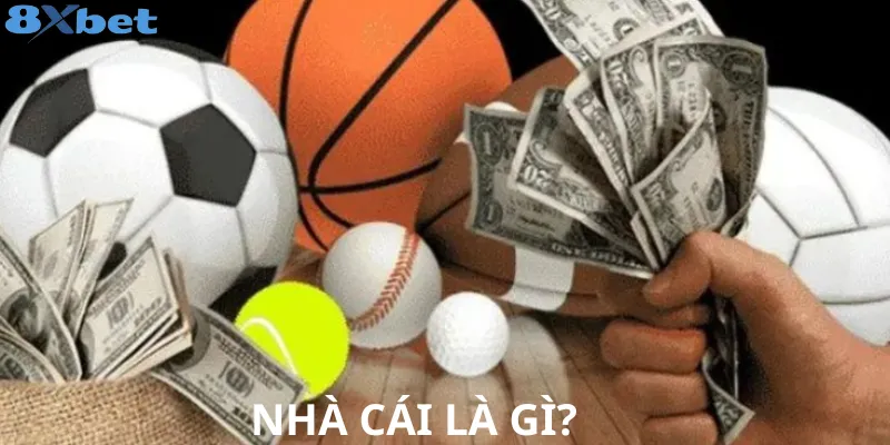 Nhà cái là gì? Phân loại, cách hoạt động cụ thể như nào? 2 Thông tin cụ thể về nhà cái hiểu là gì?